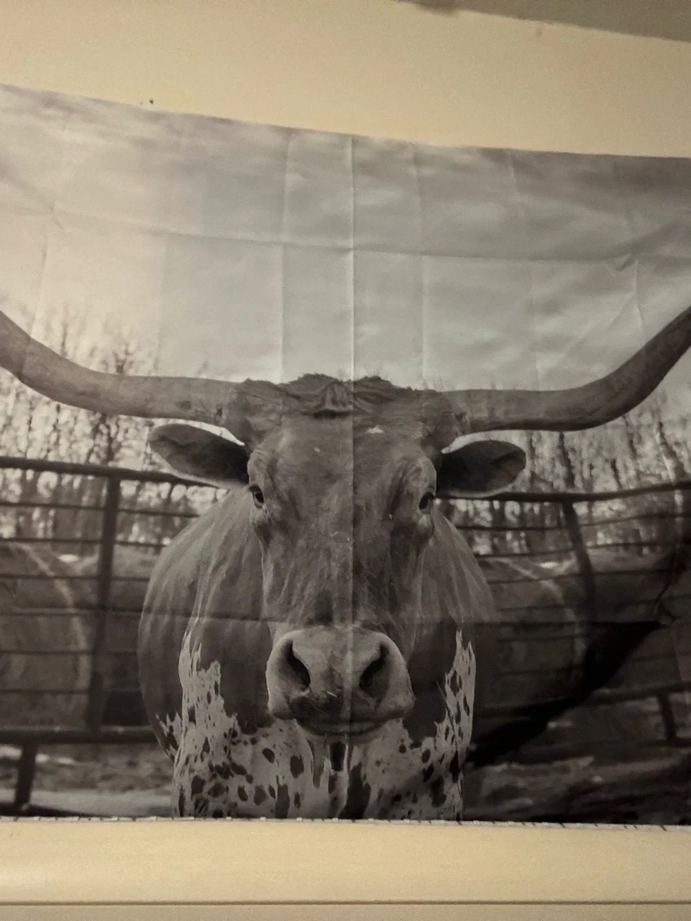 Cow longhorn tapestry